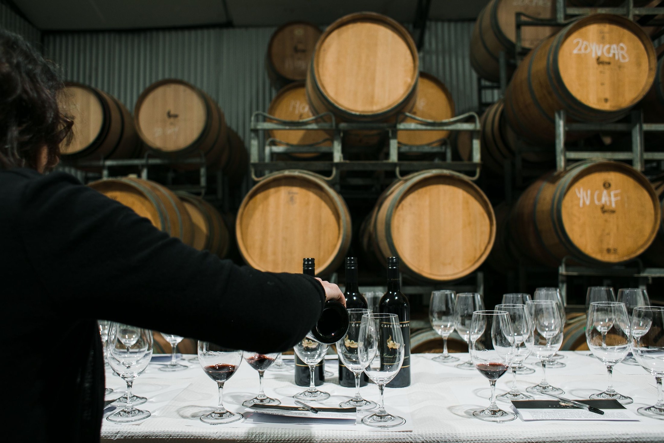 Professional wine tasting